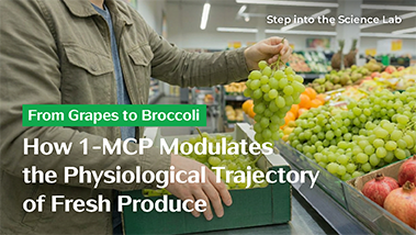 From Grapes to Broccoli: How 1-MCP Modulates the Physiological Trajectory of Fresh Produce